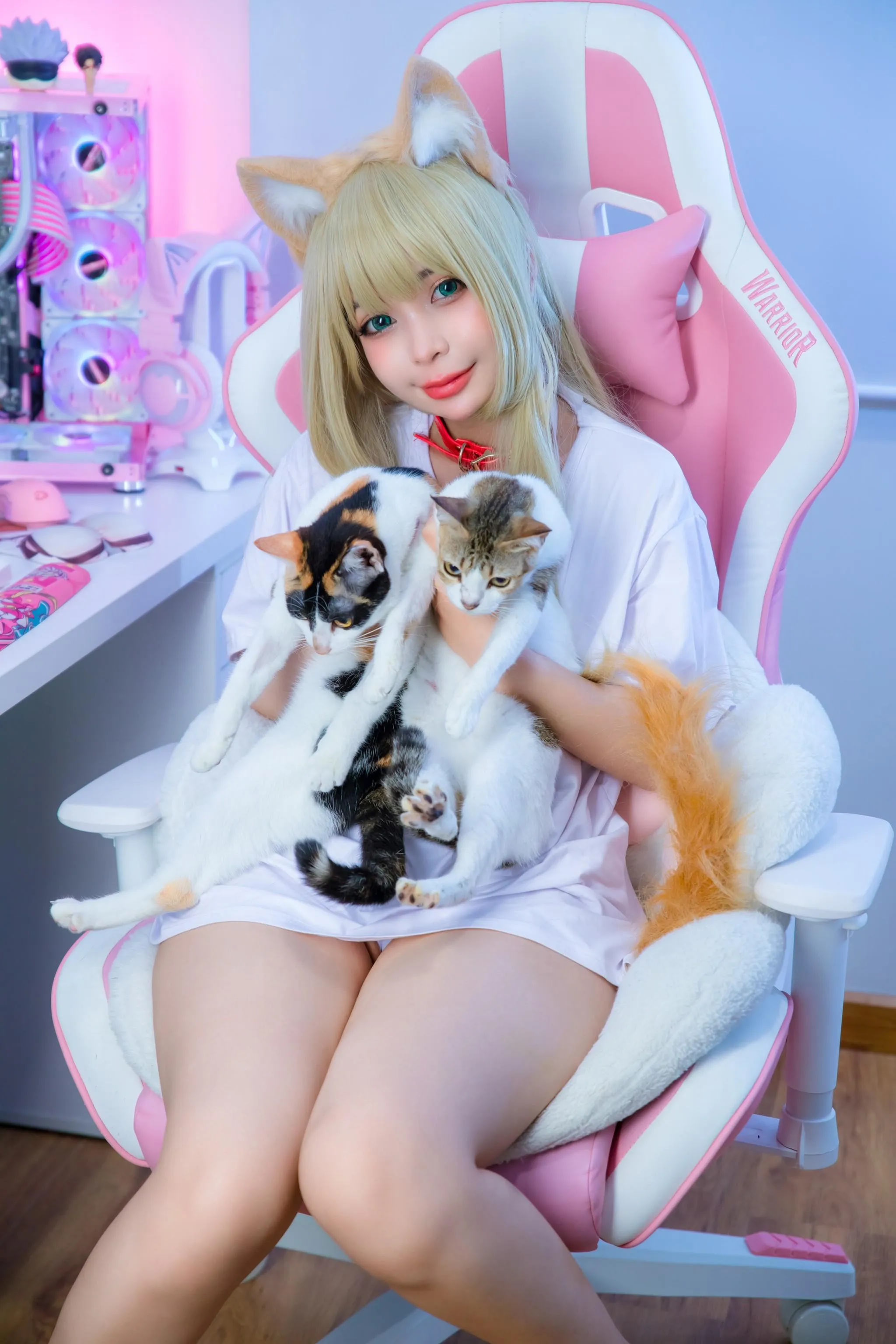 UmekoJ – NO.048 Kinako Neko [COMPLETE SET]-Kinako HD [71P]插图2